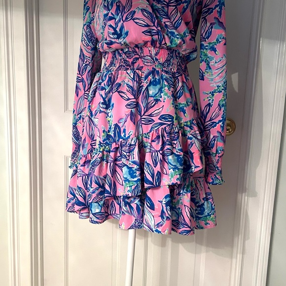 Fits like a size 2! Lilly Pulitzer Cristiana Dress Lily Rose Just Lil Jelly, 0 - Picture 4 of 7